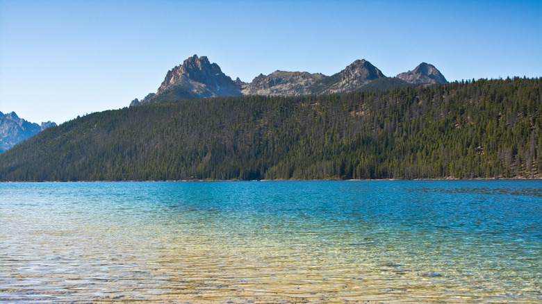 View of the clear waters in Redfish Lake