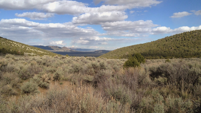 Landscapes at Massacre Rocks State Park. Idaho