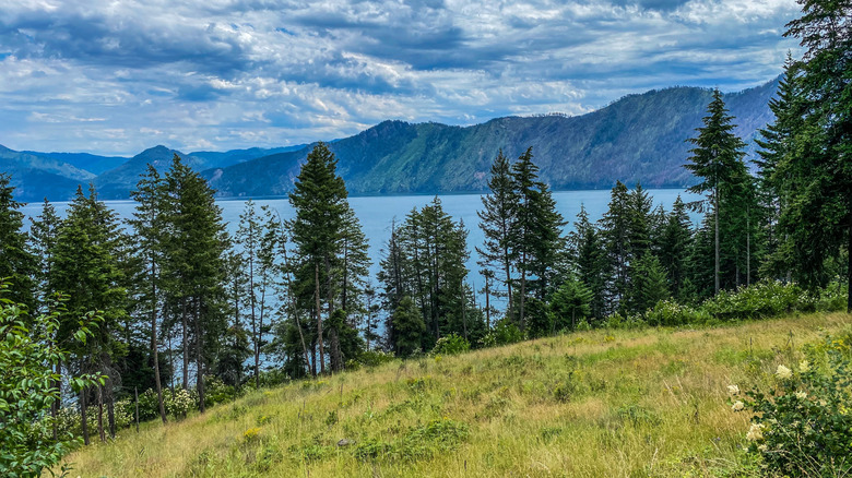 Farragut State Park in the summer
