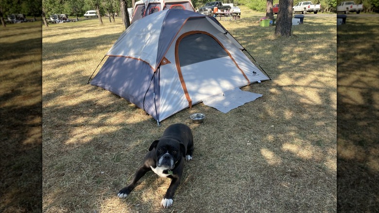 Camping area at Dworshak State Park in Idaho