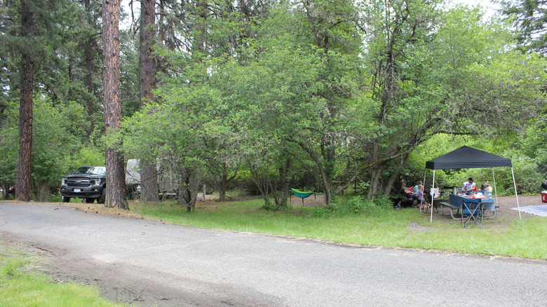 People camping and enjoying a meal under the trees in Dworshak State Park in Idaho