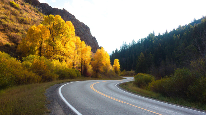 Fall foliage lines a quiet road in southern Idaho