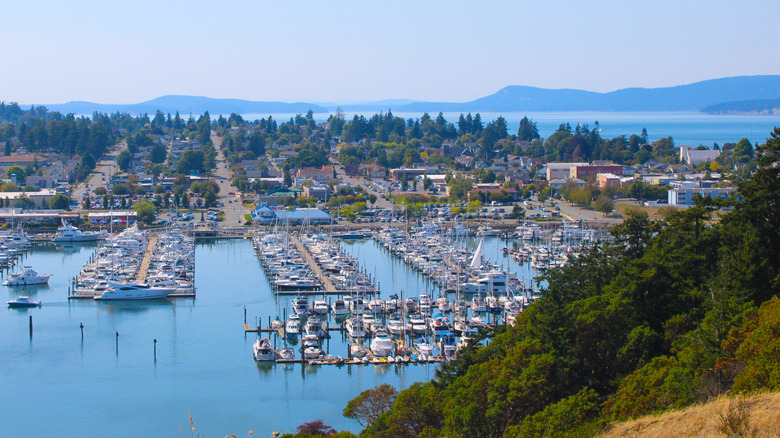 An aerial view of downtown Anacortes, Washington, and its marina on Fidalgo Island