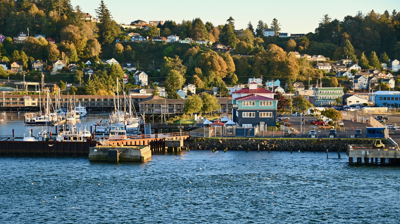 Astoria, Oregon, and its port viewed from the water