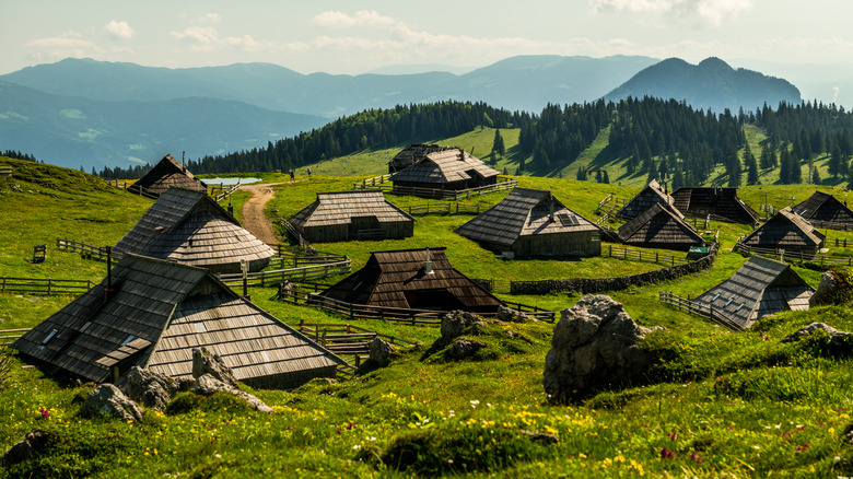 Slovenia's wooden huts and barns on a grassy plateau.