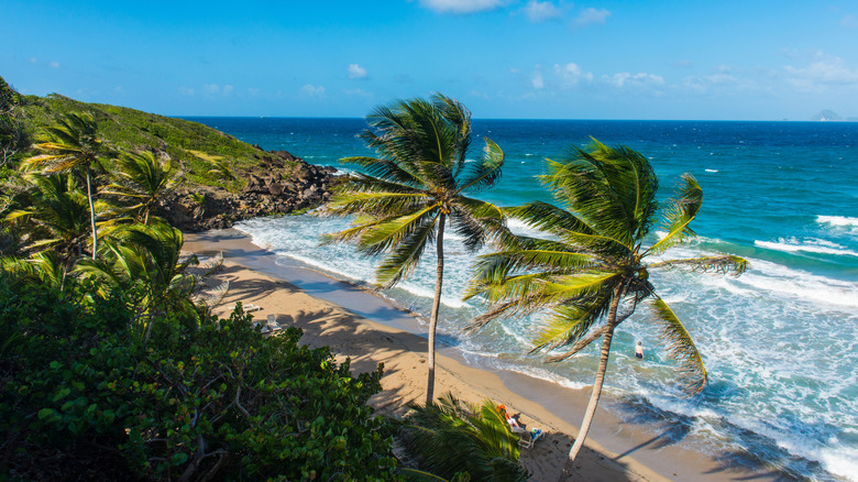 View of a deserted beach in Grenada, the Caribbean