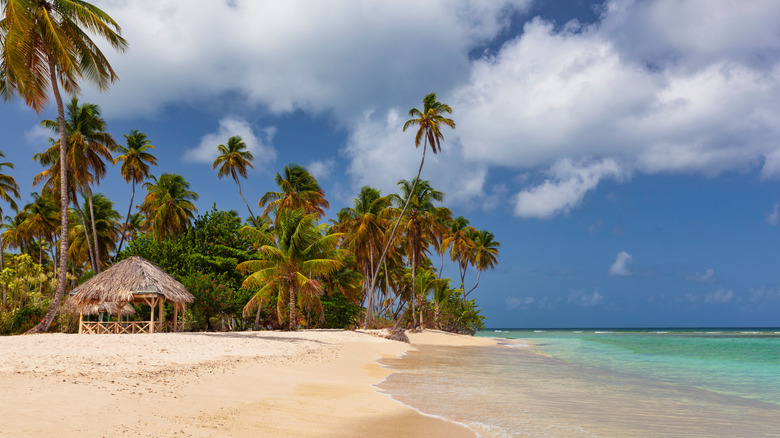 Pigeon Point Beach in Tobago, Trinidad and Tobago, the Caribbean