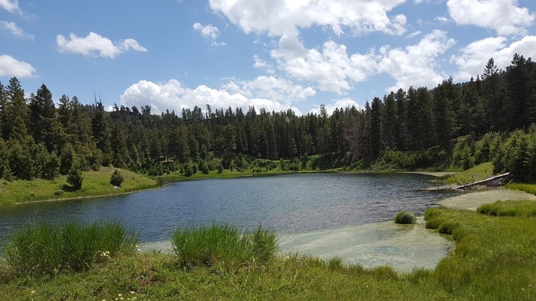 Beaver Pond in Yellowstone National Park backcountry