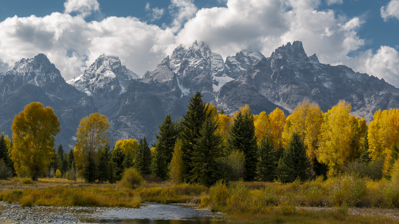 View of the Grand Tetons from the Yellowstone backcountry