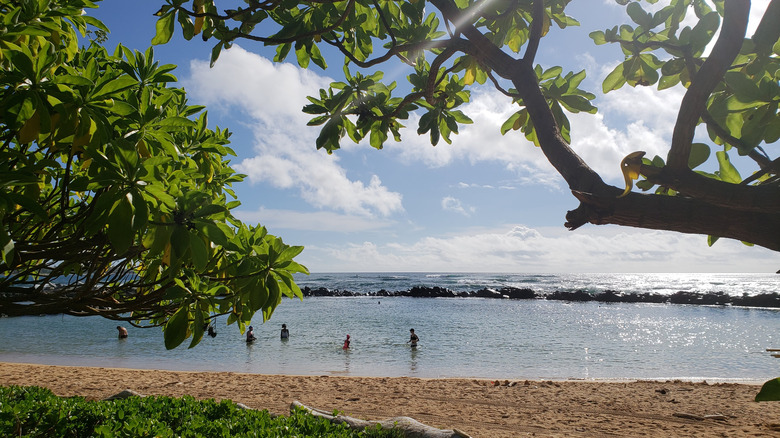 Swimmers in rock-enclosed beach pool