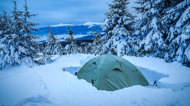 A tent in the snow after a blizzard surrounded by evergreen trees.