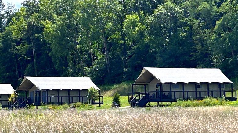 Large glamping tents in forest at Camp Aramoni near Starved Rock State Park