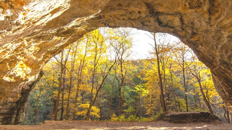 Trees and fall foliage seen through a natural rock arch at Starved Rock State Park, Illinois