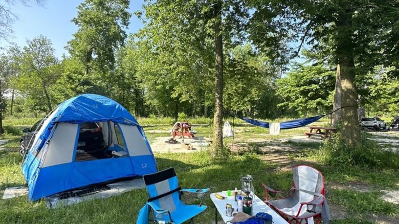 Tents in a forest near a river at the Kayak Starved Rock Campground