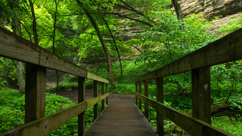 A bridge in a forested canyon in Starved Rock State Park, Illinois