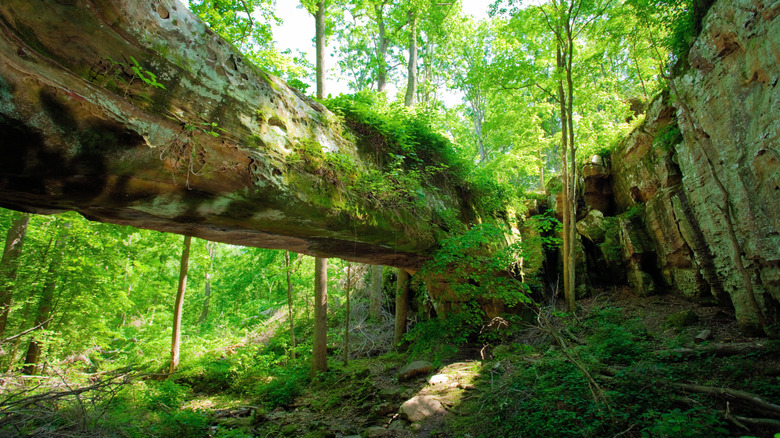 Underside view of the Pomona Natural Bridge in Illinois