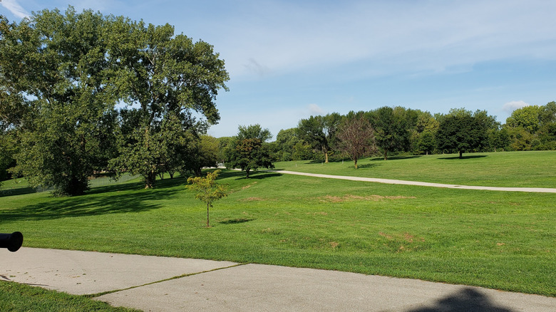 An expansive green field with trees and bike paths at Stuart Park, Illinois