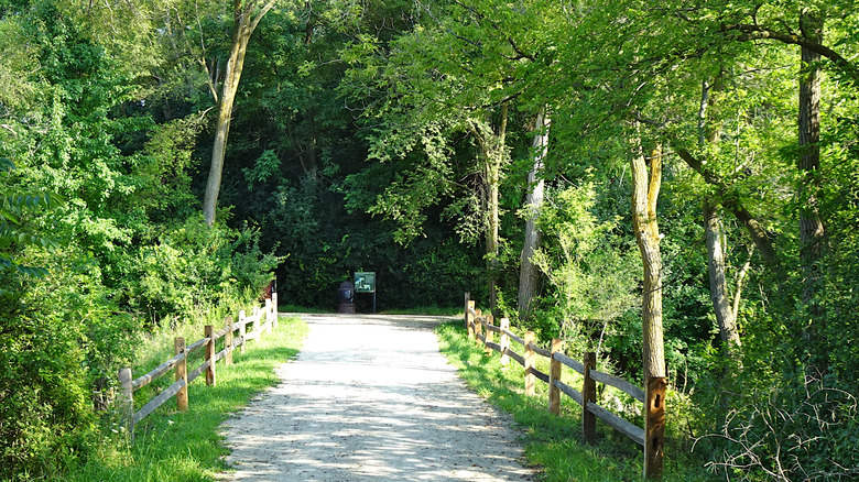 A scenic path through a forest preserve