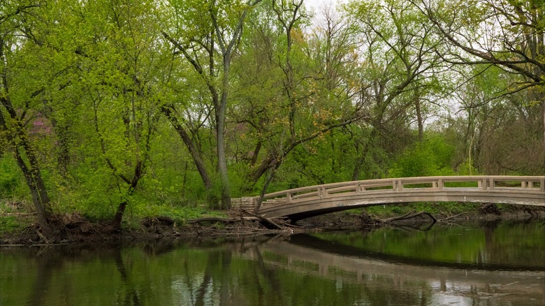 Wooden bridge in Warrenville Grove, Warrenville, Illinois, with a calm river reflection beneath it surrounded by lush greenery