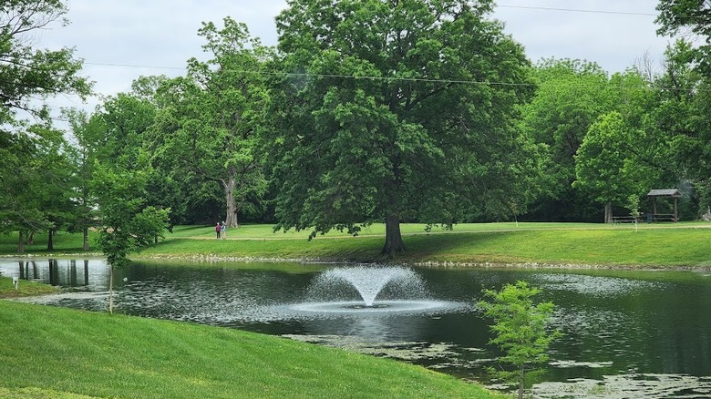 Grasses and trees around a lake with a fountain in Horner Park in Lebanon, Illinois