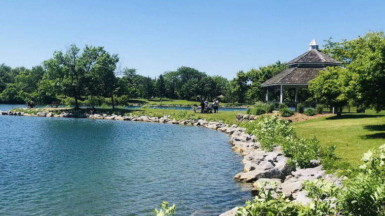 Group having a picnic near a gazebo in Baumann Park, Cherry Valley