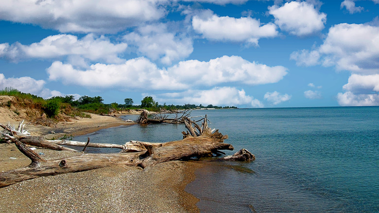 View of the shoreline at Illinois Beach State Park
