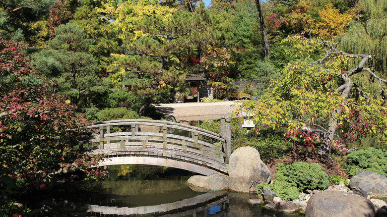 Anderson Japanese Gardens in Rockford