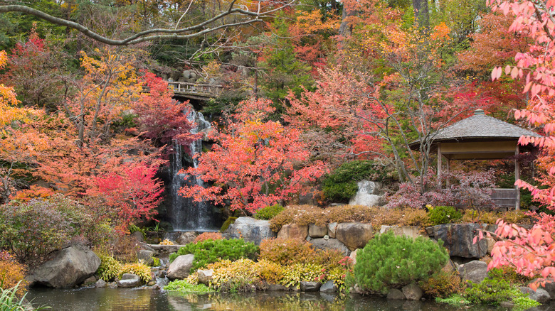 Waterfall and pagoda at Anderson Japanese Gardens in Rockford