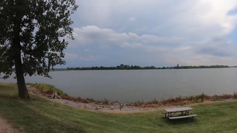 Bench and tree on lakeshore at Horseshoe Lake State Park