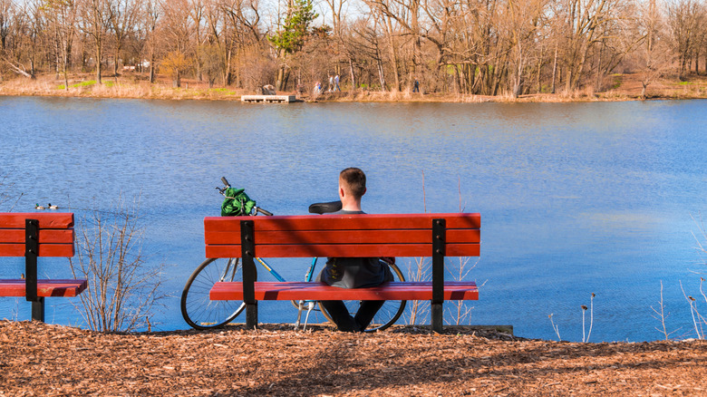 A man sitting on a bench overlooking Lake Katherine and a distant shoreline on a sunny day.