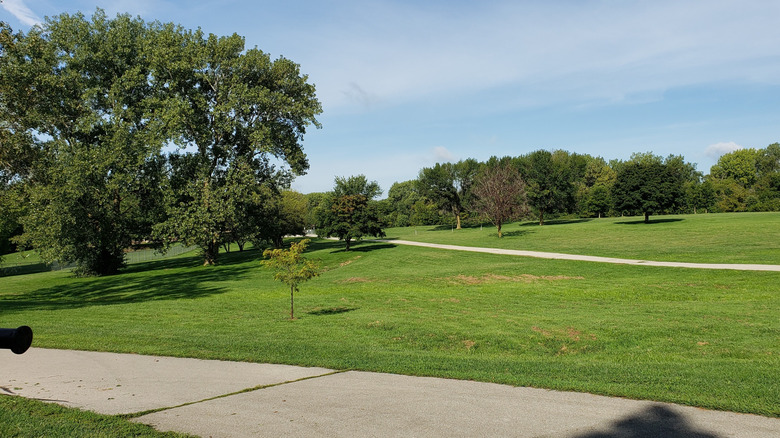 An expansive green field with trees and bike paths at Stuart Park, Illinois
