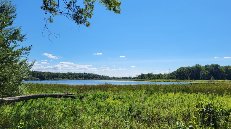 Verdant landscape at Morraine Hills State Park, with views of Lake Defiance, in McHenry, Illinois