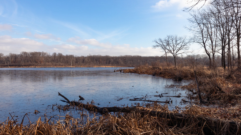 Lake in a forest preserve in Willow Springs, Illinois