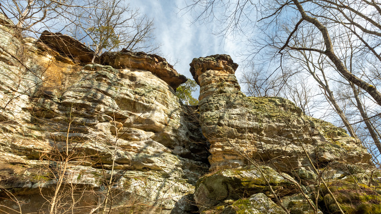 Sandstone bluffs at Giant City State Park