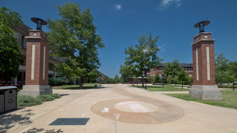 Southern Illinois University, Carbondale, green lawn in background