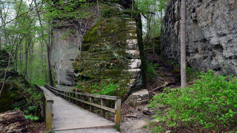 trail in Giant City State Park, near Carbondale, Illinois