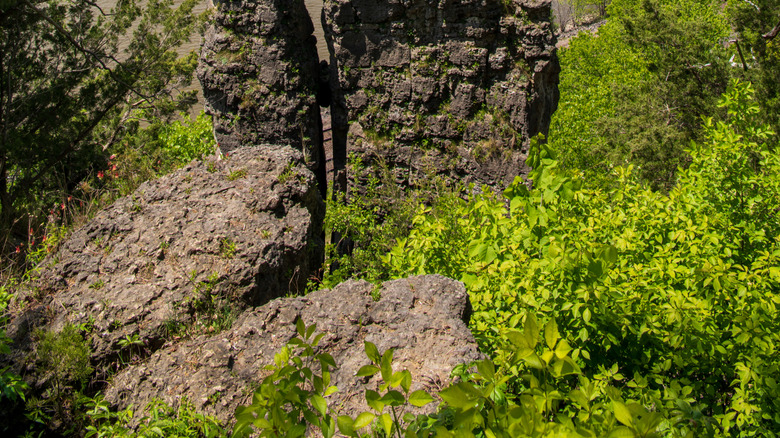 An aerial view of rocky bluffs overlooking the Mississippi River