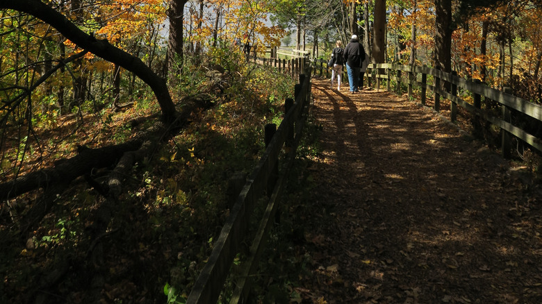 Two people hike on a path bordered with autumnal trees
