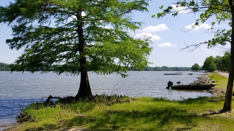 Trees and a boat by the shoreline at Anderson Lake SFWA in Illinois