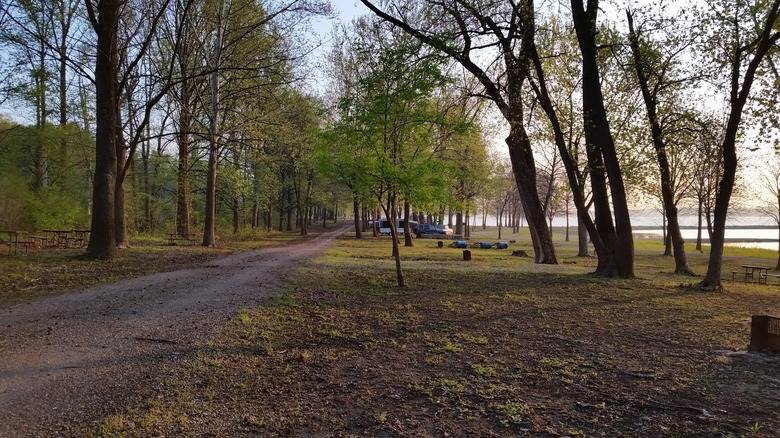 The track leading to campsites at Anderson Lake SFWA, interspersed with trees near the lake