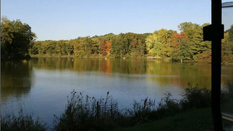 A view of the water in Carroll County, Illinois