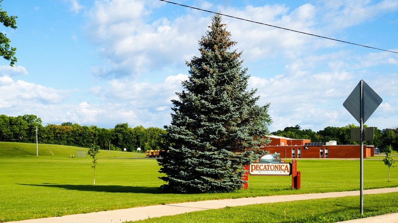 Green field with a tree and a sign for Pecatonica, Illinois