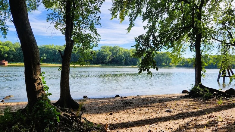 The banks of a the Illinois River at William G. Stratton State Park in Illinois, surrounded by a tree-lined shoreline.