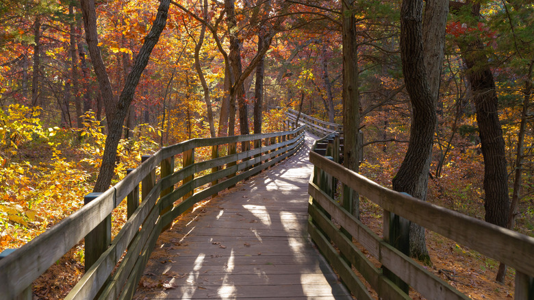 Wooden walkway through an autumn landscape in Starved Rock State Park