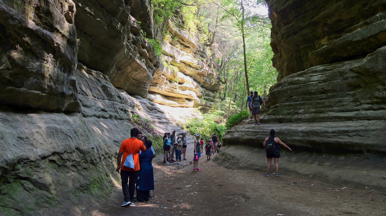 People hiking through a canyon in Starved Rock State Park