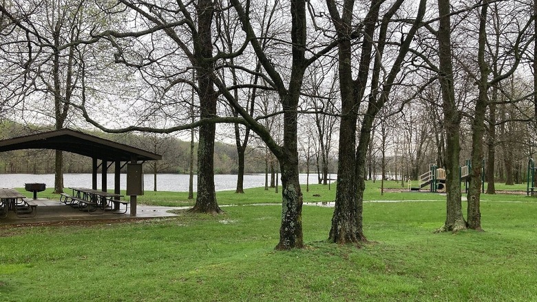 Picnic shelter and trees by the lake at Beall Woods State Park in Illinois