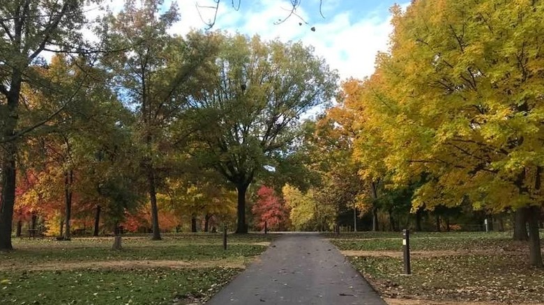 Paved road through campsite with colorful fall leaves on trees