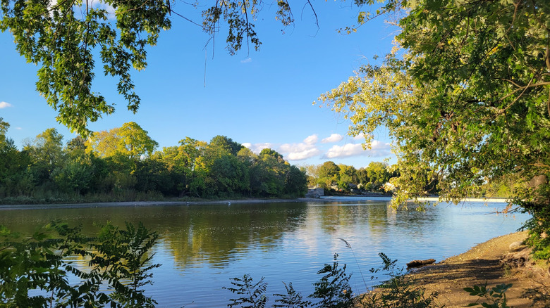 Trees surrounding the Fox River in Montgomery, Illinois