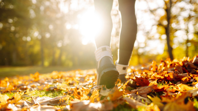 Hiking shoes walking over fall leaves