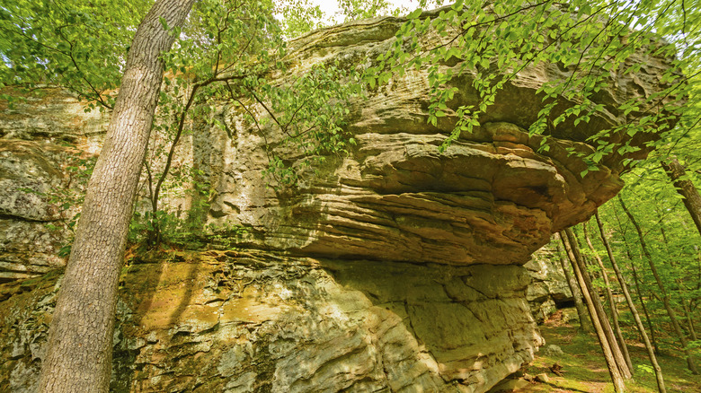 Sandstone bluff in Ghost Dance Canyon in Dixon Springs State Park in Illinois